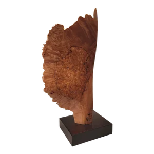 Mid 20th Century Organic Burlwood Sculpture by La Montagne