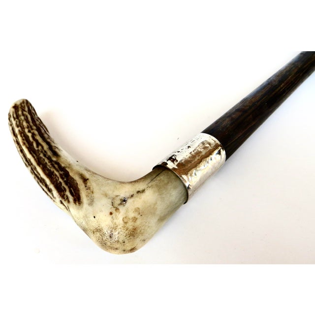Bone Antique Stag Horn Handle American Walking Stick Circa 1900 For Sale - Image 7 of 7