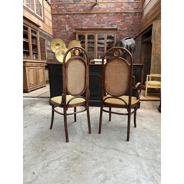 Brown Bentwood Chair N°17 from Thonet, 1960s For Sale - Image 8 of 9