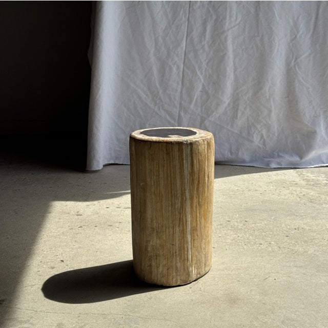 Side Table in Petrified Wood, Black Heartwood and White Bark, 1980s For Sale - Image 6 of 18