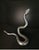 Contemporary Paige Barnes Dorsey (Commissioned) Cold-Hearted Snake Sculpture #239 For Sale - Image 3 of 7