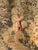 Traditional 18th Century French “Spring” From Les Enfants Jardiniers Tapestry For Sale - Image 3 of 12