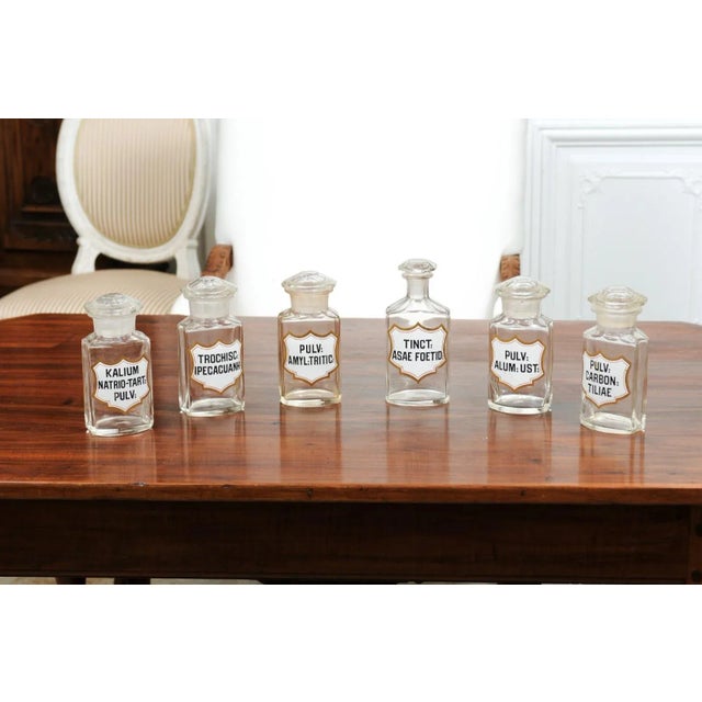 1840s French Louis-Philippe Period Glass Apothecary Jar with Latin Label For Sale - Image 4 of 12