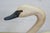 White Late 20th Century Rare Wildfowler Decoy Ny Hand Carved Wooden Tundra Swan Folk Art Figure 18" For Sale - Image 8 of 13