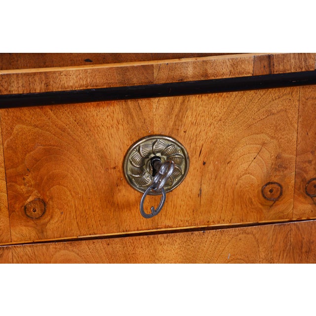 Empire Chest of Drawers in Walnut, 1820s For Sale - Image 14 of 18