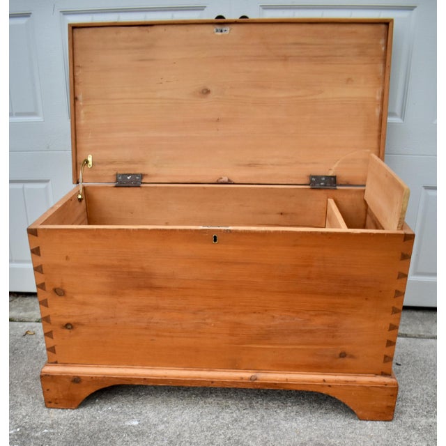 Vintage Doveatiled Pine Trunk Farmhouse Stye Blanket Chest Storage For Sale - Image 15 of 15