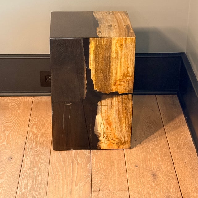 Contemporary Made Goods Teo Mix Petrified Wood Stool or Side Table For Sale - Image 3 of 7