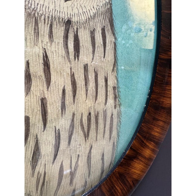 Owl Framed Print For Sale - Image 9 of 10