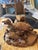 Late 20th Century Monumental Hand-Carved Solid Wood Marsh Wildlife Sculpture With Original Shipping Crate For Sale - Image 4 of 10