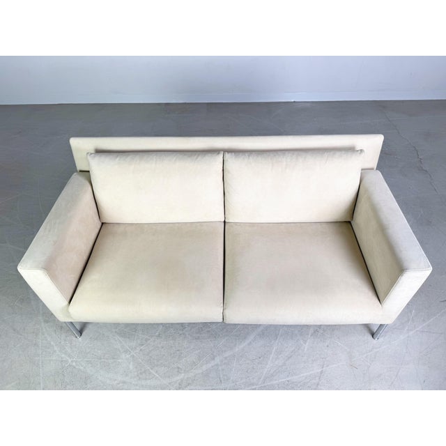 Animal Skin Jason 391 Sofa in Beige Suede from Walter Knoll For Sale - Image 7 of 13