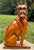 Italian Terracotta Boxer Dog Statue c.1960s For Sale - Image 15 of 17