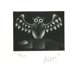 Owl - Original Etching on Paper by Mario Avati - 1960s 1960s