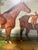Early 20th Century Oil on Canvas British School "Horses & Rider" by Pastor, Early 20th Century For Sale - Image 5 of 10