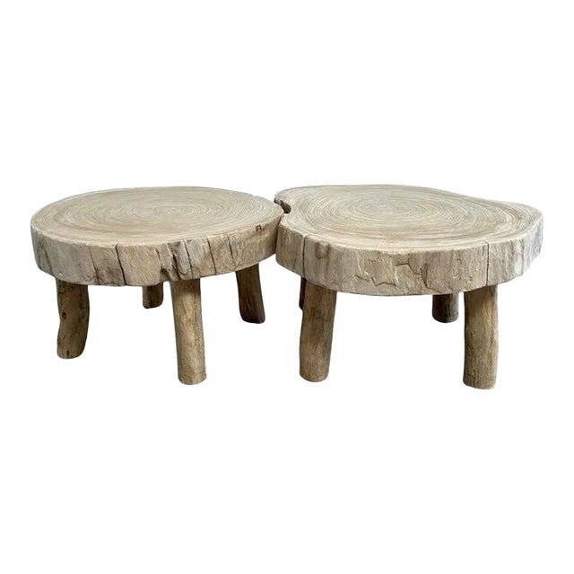 Late 20th Century Cypress Wood Stump Slice Coffee Table Set of 2 For Sale