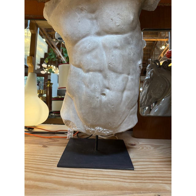 Antique White Gaddi's Torso, Plaster Bust, Copy in Scale 1/1 For Sale - Image 8 of 9