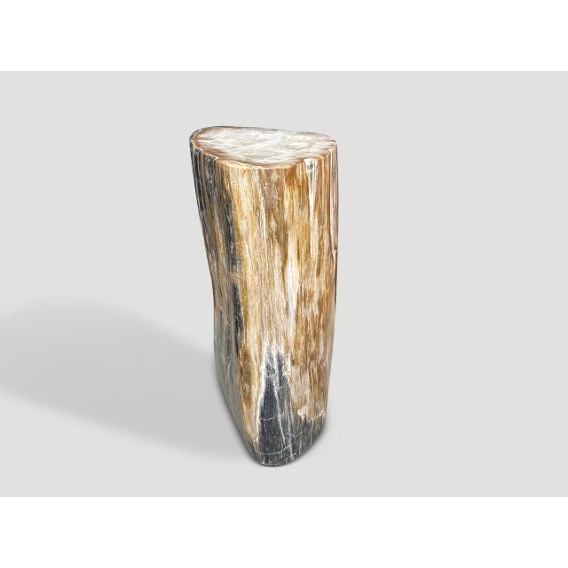 2020s Andrianna Shamaris Modern Organic Petrified Wood Side Table For Sale - Image 5 of 5