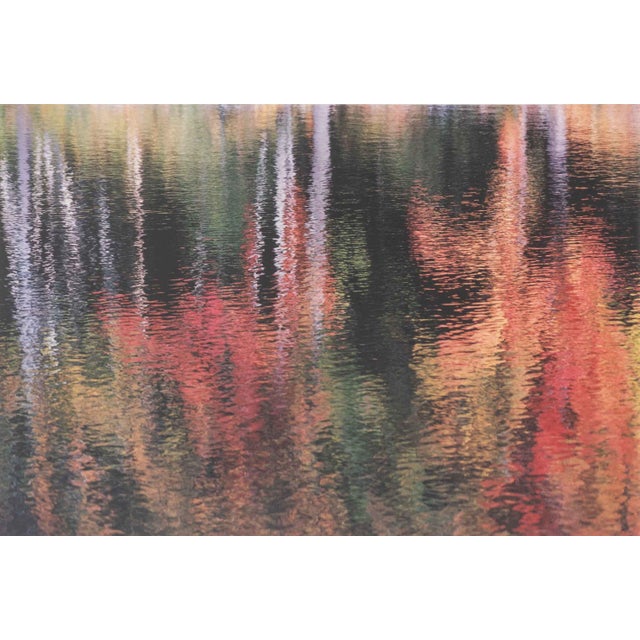 Sonja Bullaty (Czech/American, 1923-2000), Autumn River Reflections, Chromogenic Print, signed in pencil lower right,...