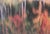 Sonja Bullaty (Czech/American, 1923-2000), Autumn River Reflections, Chromogenic Print, signed in pencil lower right,...