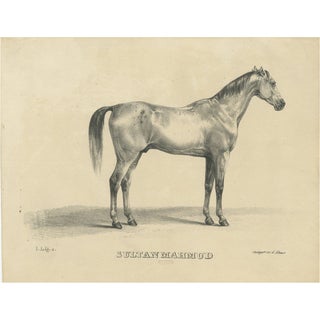 G. Ebner, Sultan Mahmoud, 1846, Lithograph For Sale