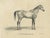 G. Ebner, Sultan Mahmoud, 1846, Lithograph For Sale