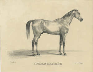 G. Ebner, Sultan Mahmoud, 1846, Lithograph