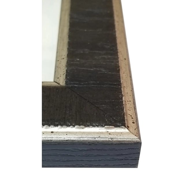 John James Audubon Purple Martin Duchess Edition, After Audubon Reproduction Print, Framed For Sale - Image 4 of 4