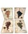 Vintage Vineyard Grape Canvas Prints, Set of 4 For Sale