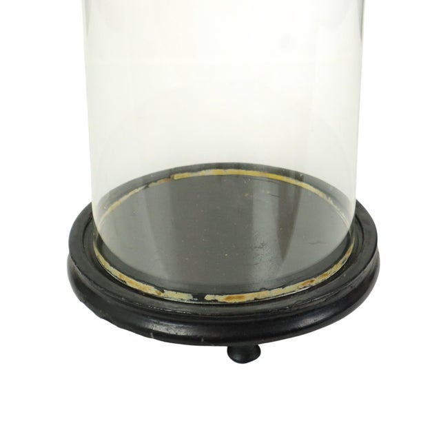 Large Antique Mouth-Blown Glass Dome, 1890s For Sale - Image 6 of 14