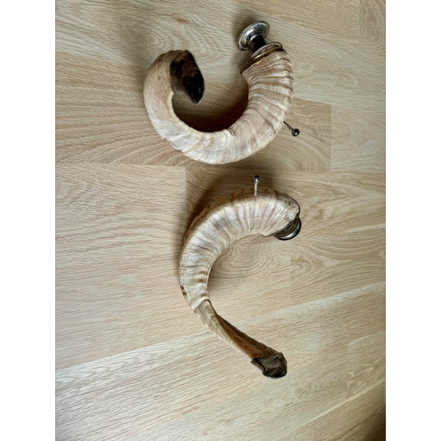 Vintage Organic Modern Ram’s Horn Candlesticks With Silvered Brass Mounts – Pair For Sale - Image 12 of 12