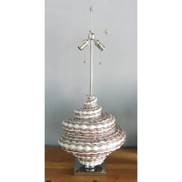 Oversized Snail shell on nickel base.