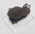 Antique Seljuk-Style Islamic Cast Bronze Lion With Prey Figure, Circa 1900 For Sale - Image 13 of 13