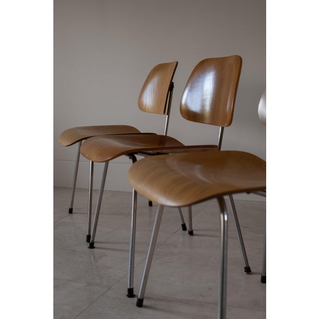 1950s Charles and Ray Eames DCM Dining Chairs by Herman Miller, Usa For Sale - Image 9 of 13