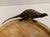 Marble Trinket Tray with Bronze Bird Decor, 20th Century For Sale - Image 4 of 7