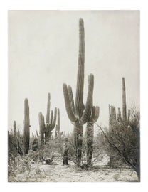 Example of New & Custom Southwestern