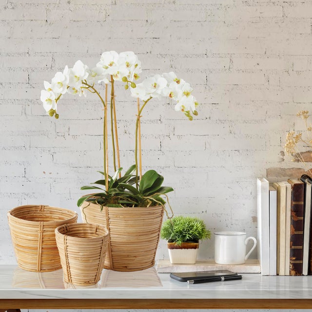 Early 21st Century Phalaenopsis Orchid Mini Garden Drop-In 16" For Sale - Image 5 of 5