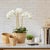 Early 21st Century Phalaenopsis Orchid Mini Garden Drop-In 16" For Sale - Image 5 of 5