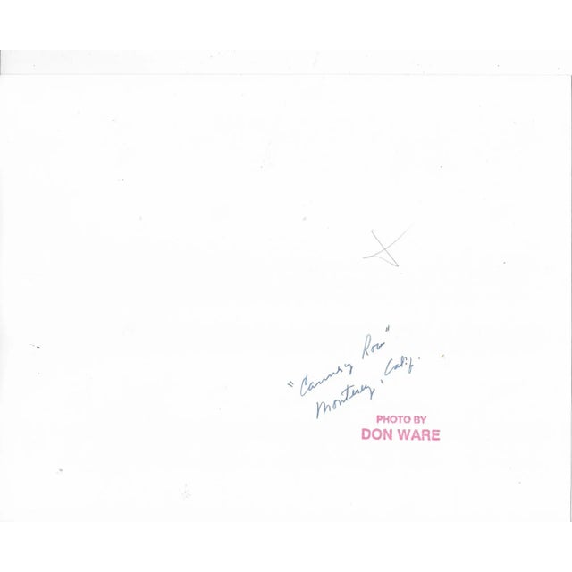 1970s black and white photo by Los Angeles photographer Don Coleman Ware (1921-2006) of Cannery Row made famous by John...