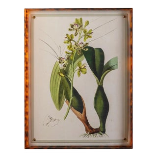 Spring Orchid III Giclee in Tortoise Frame For Sale