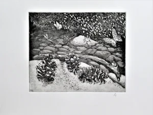 Arnold A. Grossman, Pine Cones, Circa 1990