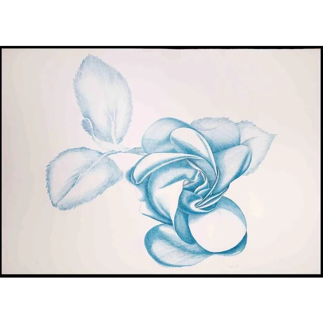 Blue Rose is an original contemporary artwork realized by Giacomo Porzano in 1970s. Colored etching Hand-signed on the...