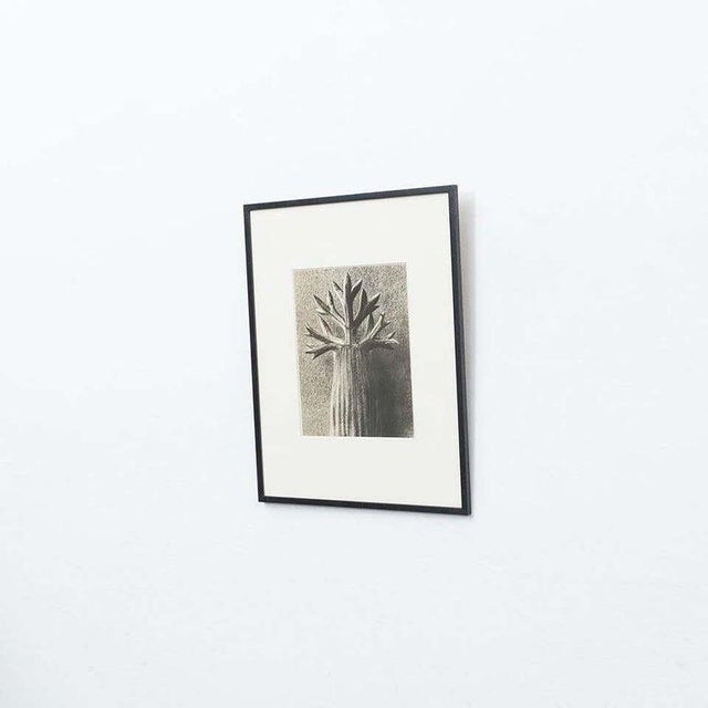 Karl Blossfeldt, Black and White Botanical Image, 1942, Photogravure, Framed For Sale - Image 4 of 18