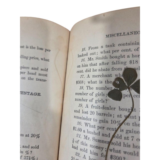 American Antique 1895 Complete Arithmetic by Geo. W. Hull, Ph.D. • American Book Company • Rare School Textbook With Preserved Botanicals For Sale - Image 3 of 11