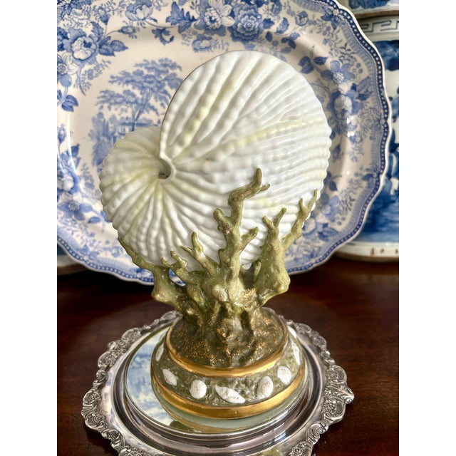 A striking vintage porcelain nautilus shell sculptural vase mounted atop a naturalistic coral-form base with gilt accents...