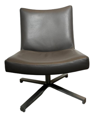 Modern Swivel Lounge Chair