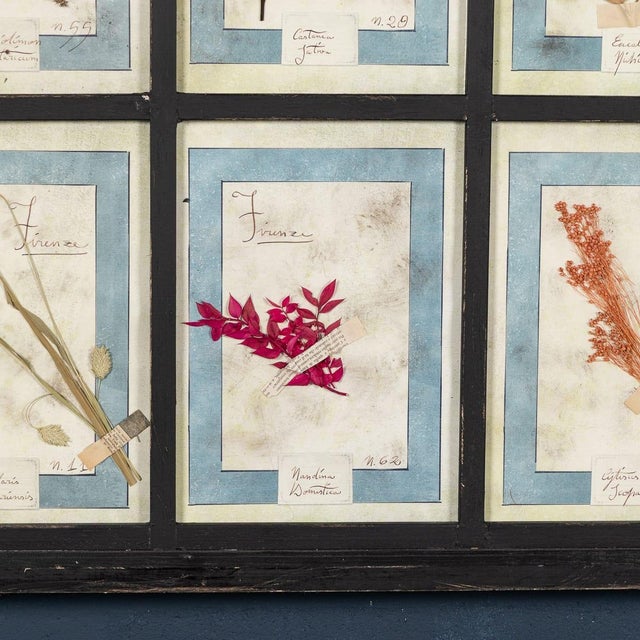 20th Century Italian Large Oak Frame with Pressed Flowers and Herbs For Sale - Image 12 of 18