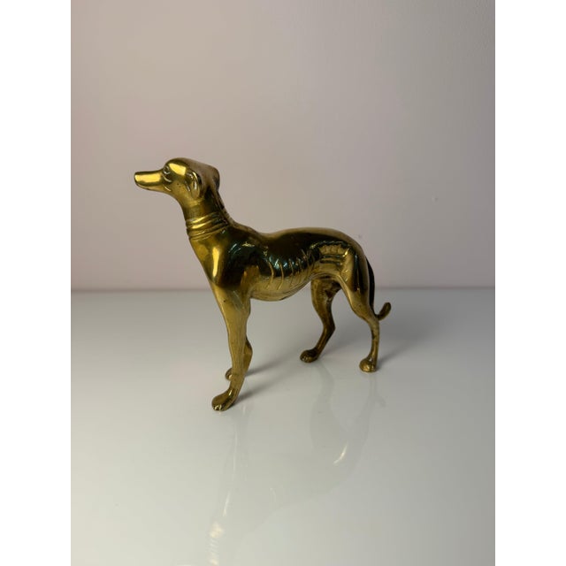 Gold Brass Greyhound, Denmark, Set of 2 For Sale - Image 8 of 11