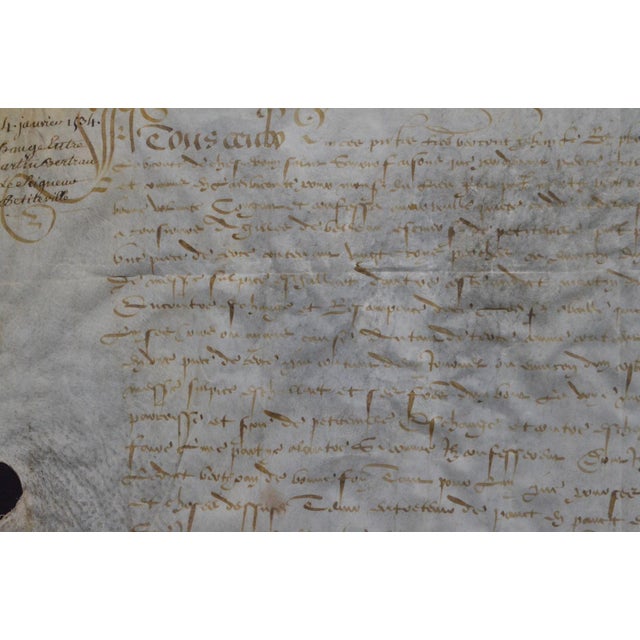 1534 French Renaissance Manuscript Legal Deed on Parchment, Seigneur De Petiteville For Sale - Image 9 of 11
