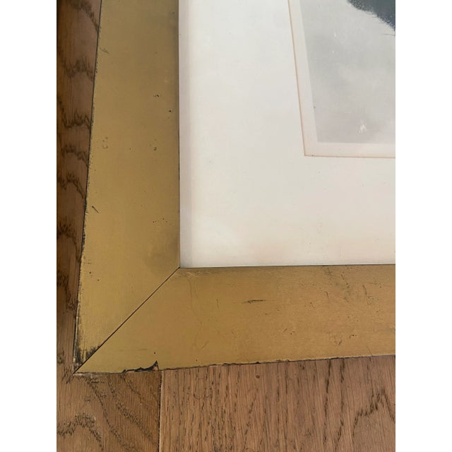 Framed Reproduction Karl Blossfeldt Prints - Set of 2 For Sale - Image 9 of 12