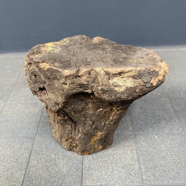 Head Carved from Wooden Trunk, 1950s For Sale - Image 13 of 16