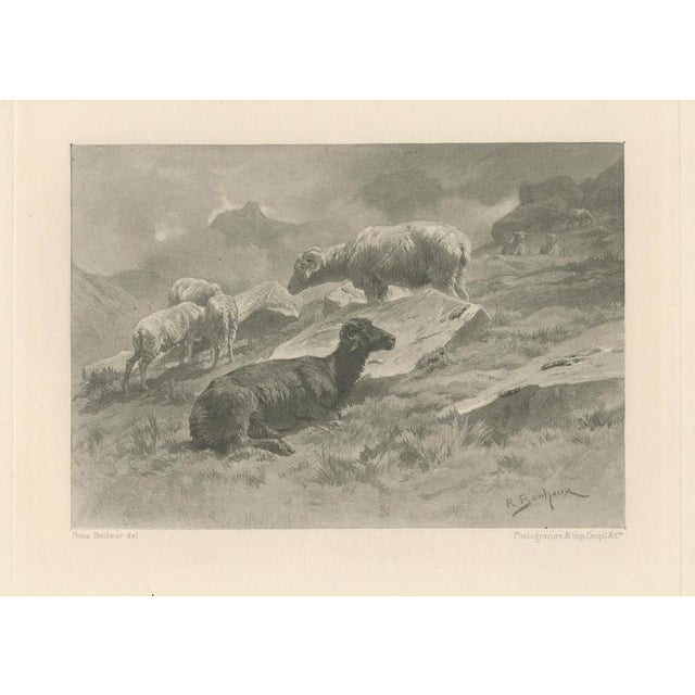 After Rosa Bonheur, Sheep in a Mountain Landscape, 1880, Photogravure For Sale - Image 9 of 9